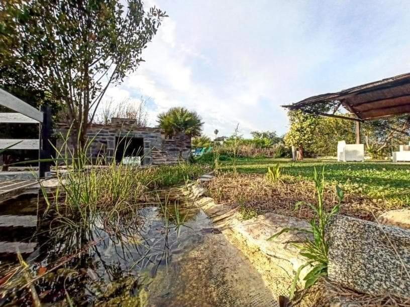 Lusitaurus Villa Montoito Ngoại thất bức ảnh